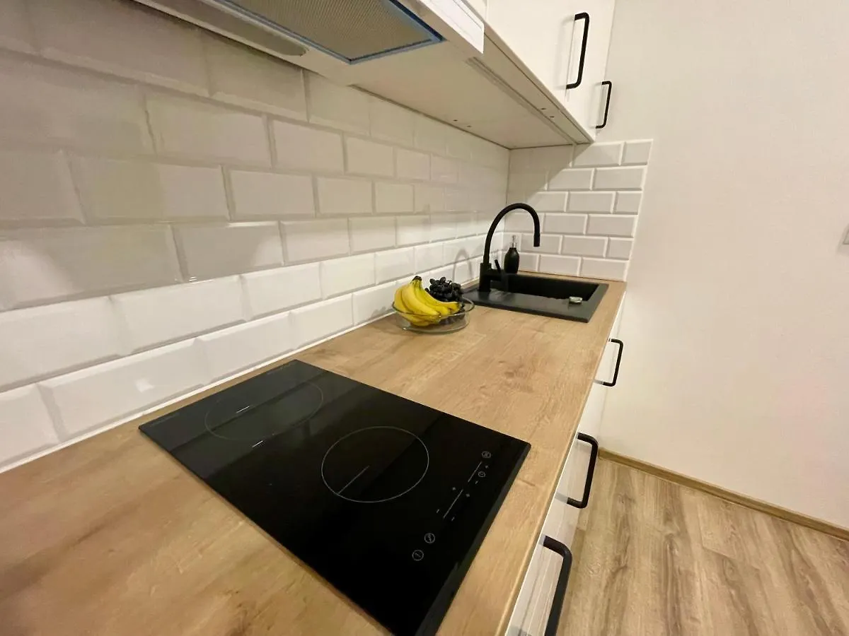 Historic Center Brno Apartment